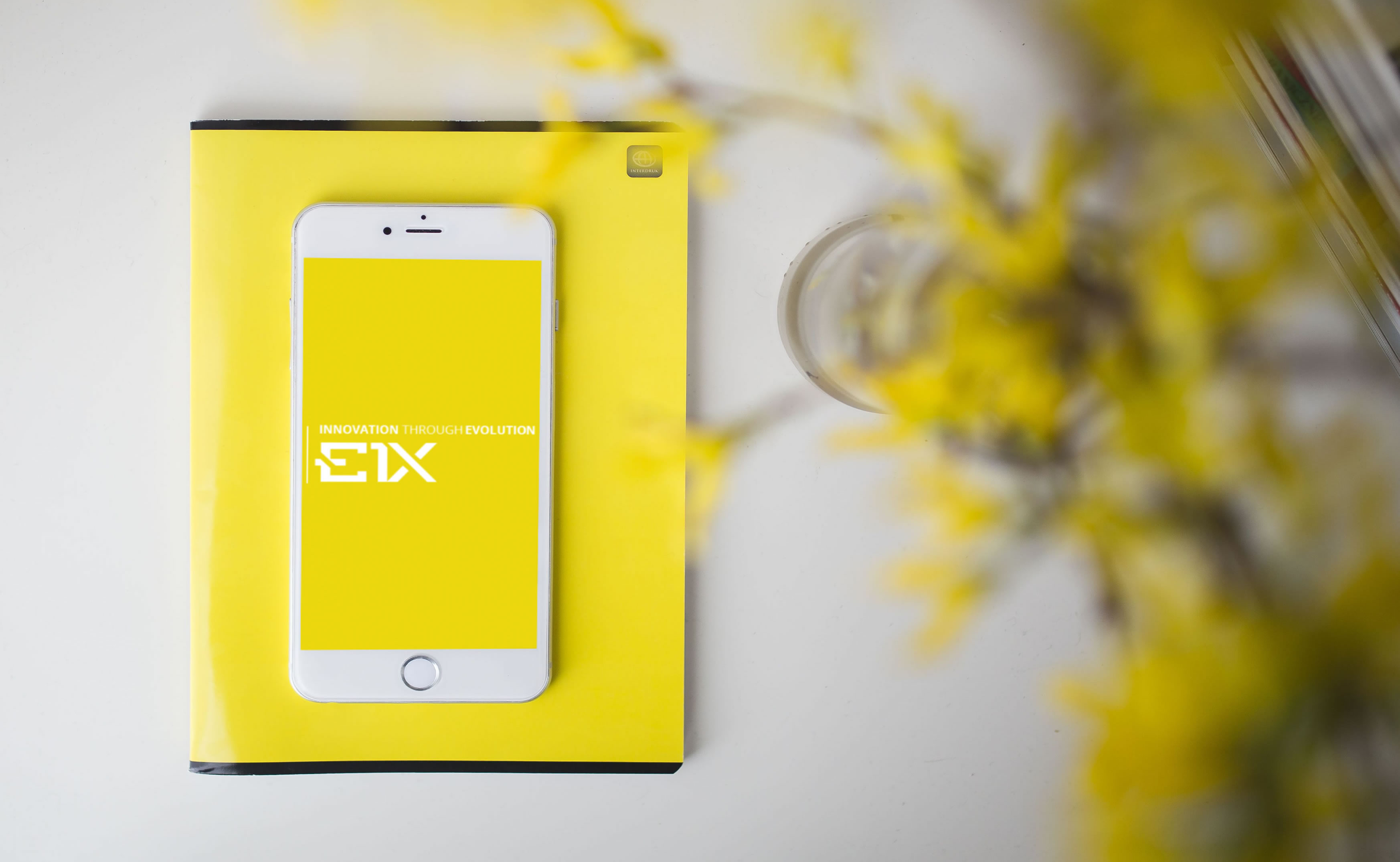 E1X Branding